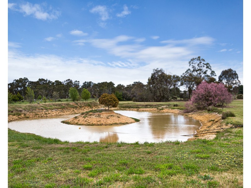 36 Crespigny Street, Talbot VIC 3371