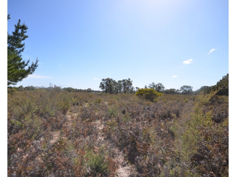 Lot 28 Patricias Road, Edenhope VIC 3318