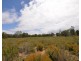 Lot 40 Scrubby Lake Road, Edenhope VIC 3318