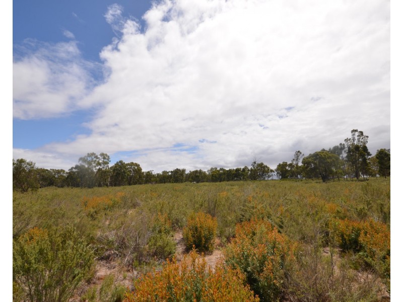Lot 40 Scrubby Lake Road, Edenhope VIC 3318