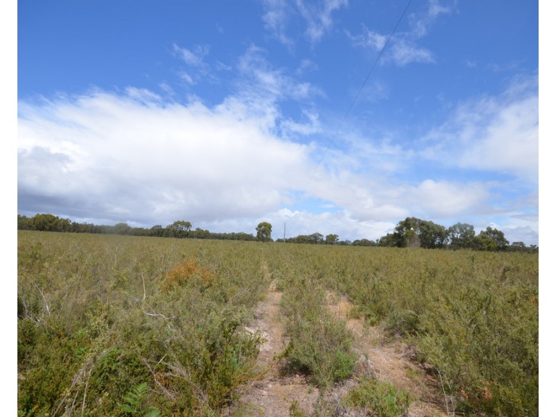 Lot 40 Scrubby Lake Road, Edenhope VIC 3318