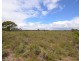 Lot 40 Scrubby Lake Road, Edenhope VIC 3318