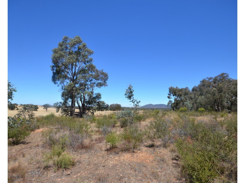 116 Moonambel-Natte Yallock Road, Moonambel VIC 3478