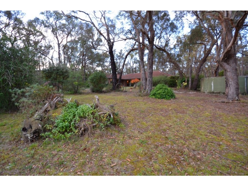 56 Woodland Drive, Scarsdale VIC 3351