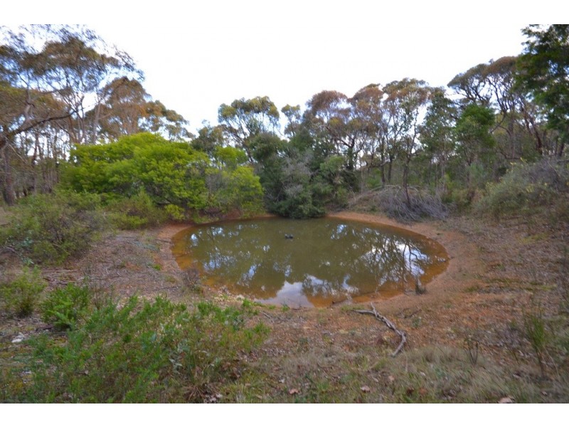 56 Woodland Drive, Scarsdale VIC 3351