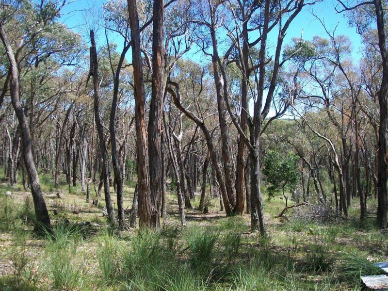 CA 8A Browns Road, Scarsdale VIC 3351