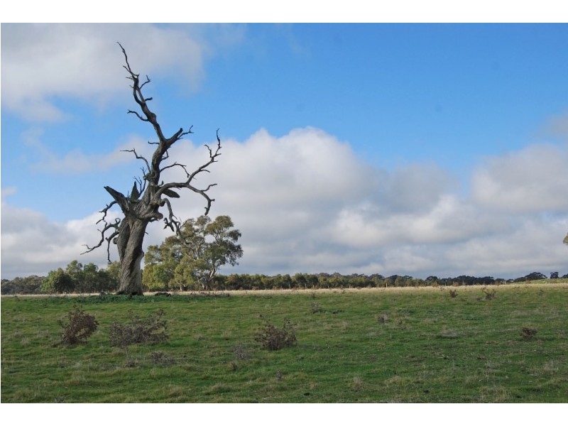 240-280 Kierces Road, Clunes VIC 3370