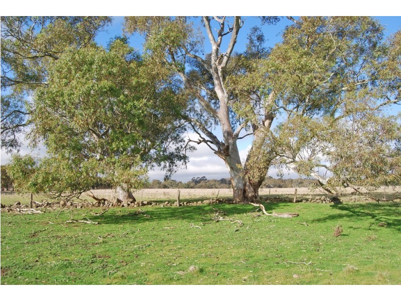 240-280 Kierces Road, Clunes VIC 3370