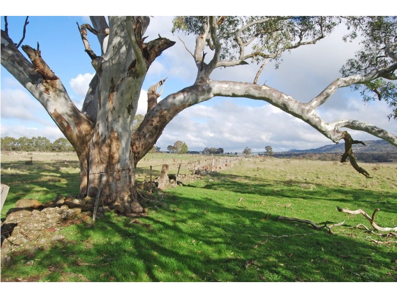 240-280 Kierces Road, Clunes VIC 3370