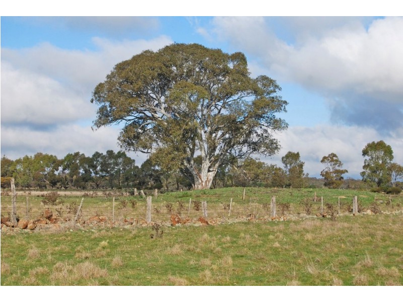 240-280 Kierces Road, Clunes VIC 3370