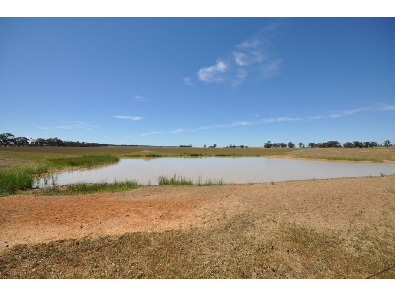 980 Avoca – Dunolly Road, Mount Hooghly VIC 3472