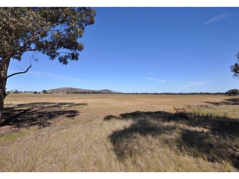 980 Avoca – Dunolly Road, Mount Hooghly VIC 3472