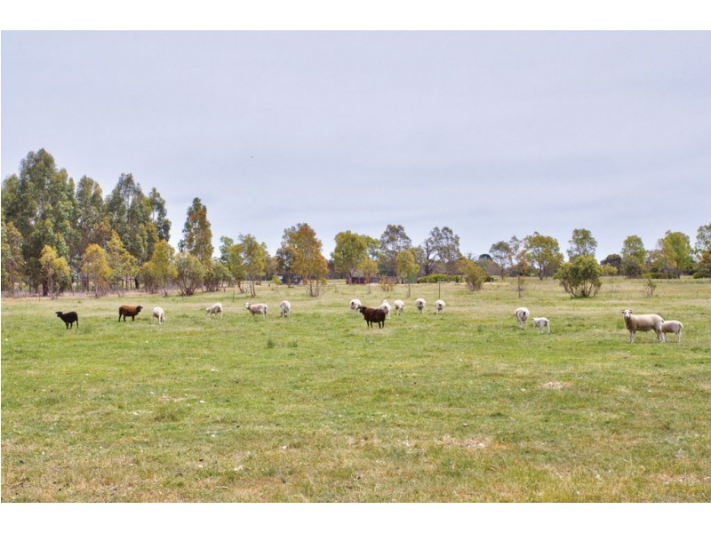 120 Exchequer Road, Cape Clear VIC 3351