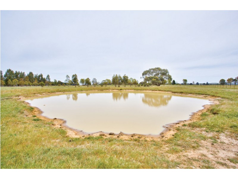 120 Exchequer Rd, Cape Clear VIC 3351