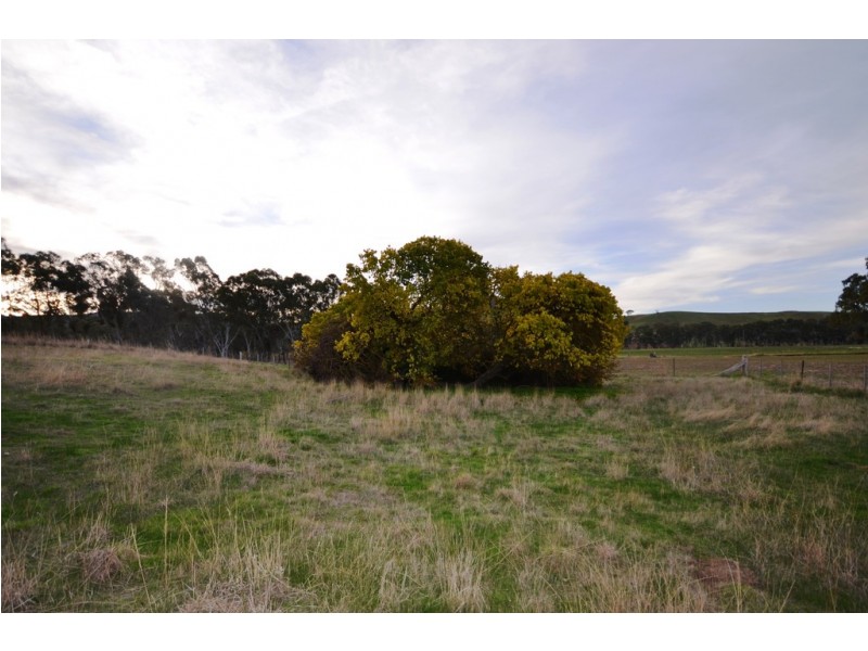 CA 9B Andersons Road, Amphitheatre VIC 3468