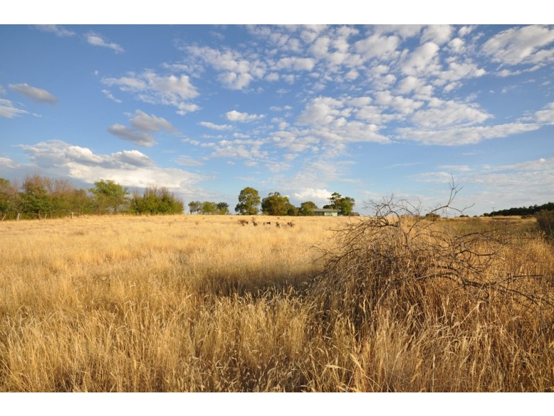 3225 Ballarat-Maryborough Road, Clunes VIC 3370