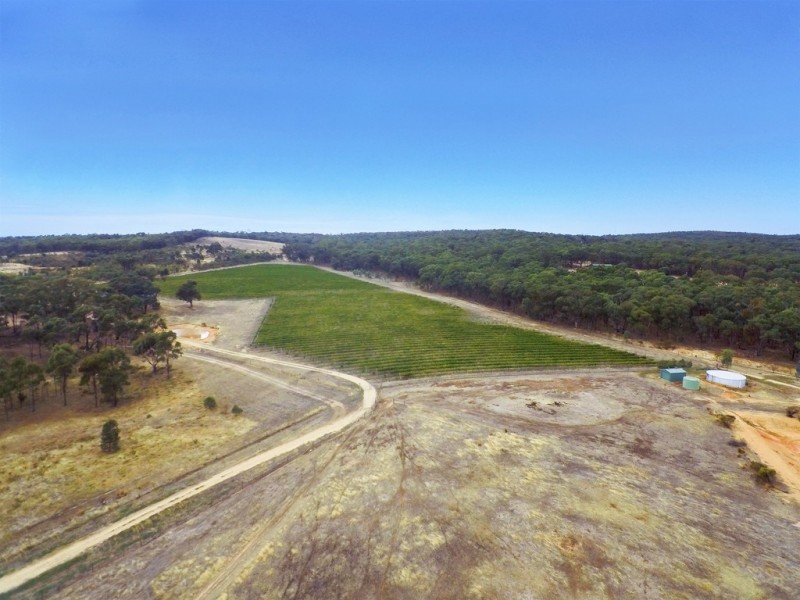 20 Morris Lane, Avoca VIC 3467
