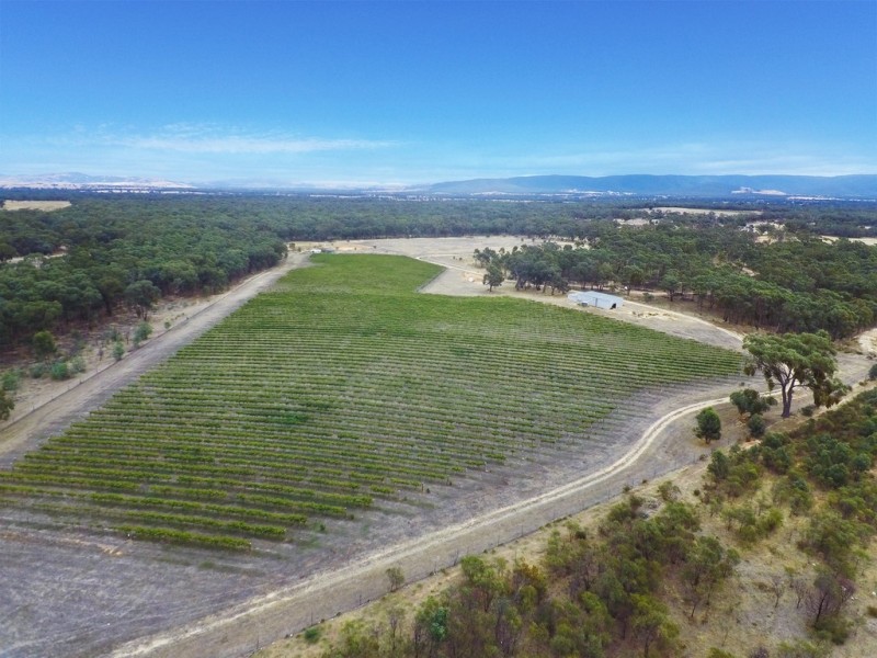 20 Morris Lane, Avoca VIC 3467