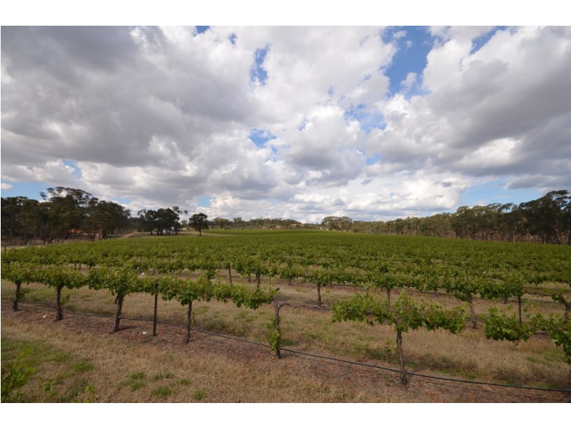 20 Morris Lane, Avoca VIC 3467