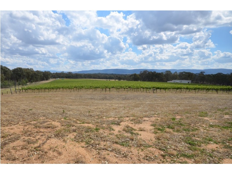 20 Morris Lane, Avoca VIC 3467