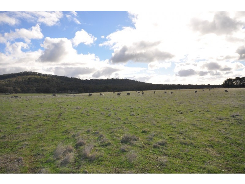 80 Mountain Creek Road, Clunes VIC 3370