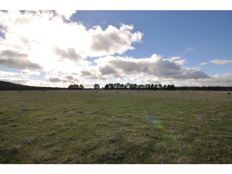 80 Mountain Creek Road, Clunes VIC 3370