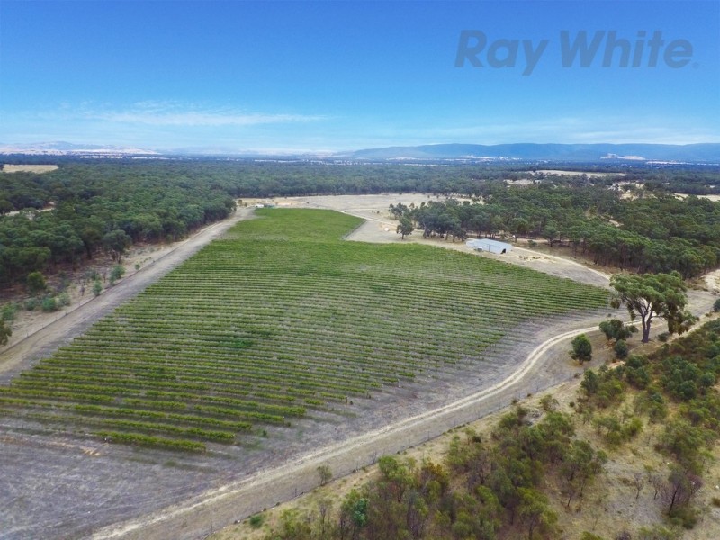 20 Morris Ln, Avoca VIC 3467