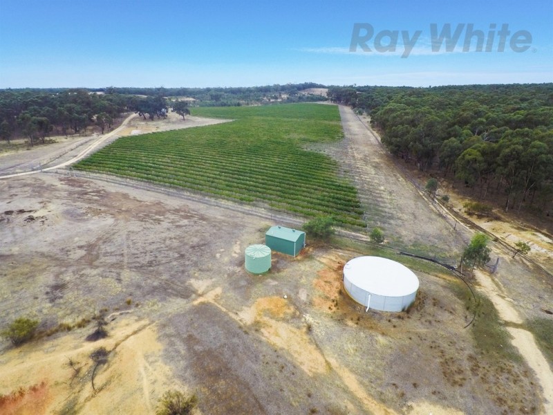 20 Morris Ln, Avoca VIC 3467