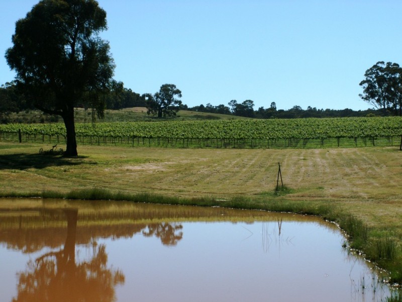 20 Morris Ln, Avoca VIC 3467