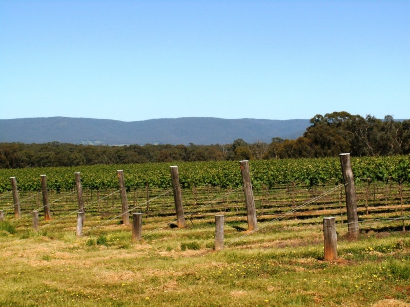 20 Morris Ln, Avoca VIC 3467