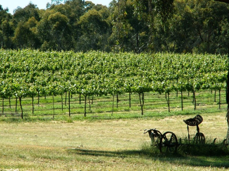 20 Morris Ln, Avoca VIC 3467