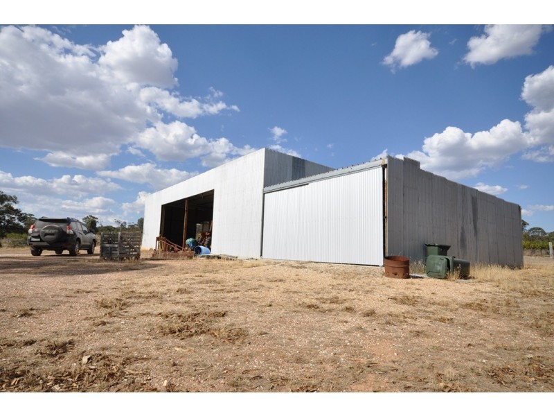 20 Morris Ln, Avoca VIC 3467