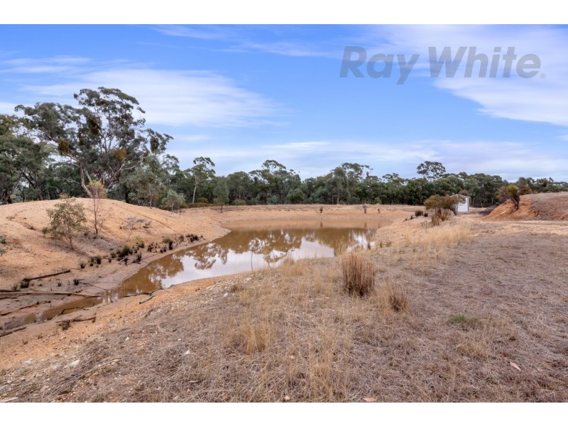 20 Morris Ln, Avoca VIC 3467