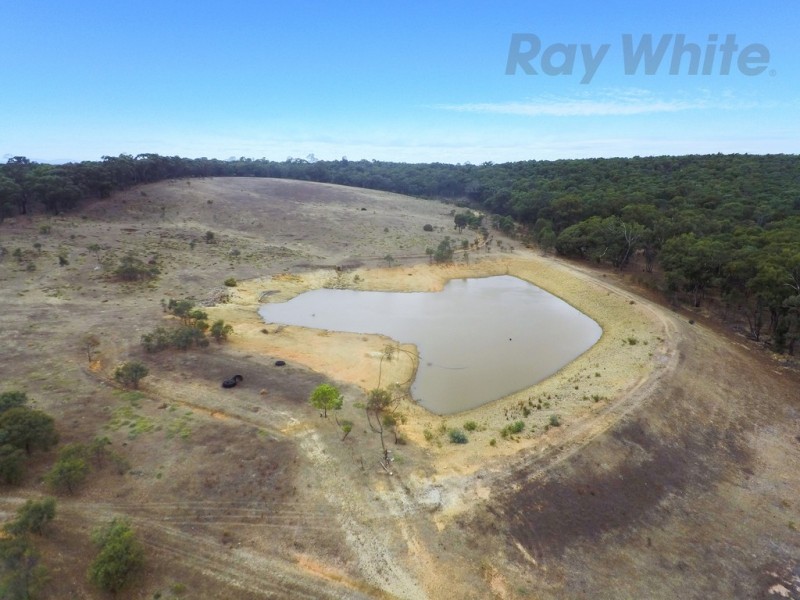 20 Morris Ln, Avoca VIC 3467