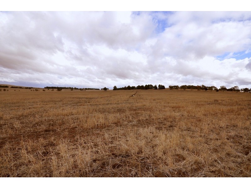 Eurambeen – Streatham Road, Beaufort VIC 3373