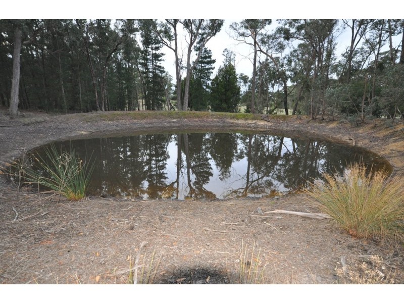 Lot 42 Tilligs Rd, Scarsdale VIC 3351