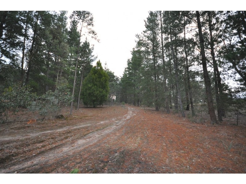 Lot 42 Tilligs Rd, Scarsdale VIC 3351