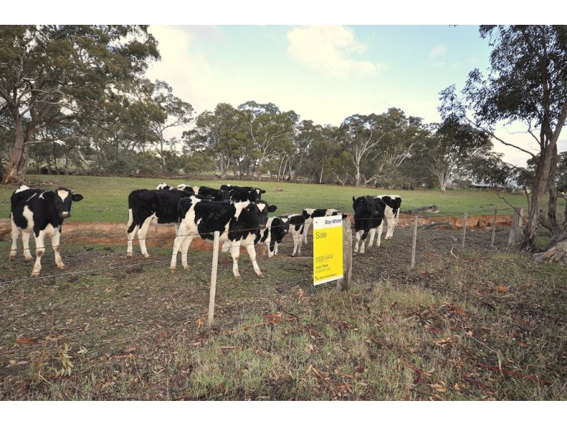 CA 1 Wolfs Lane, Avoca VIC 3467