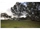 CA 1 Wolfs Lane, Avoca VIC 3467