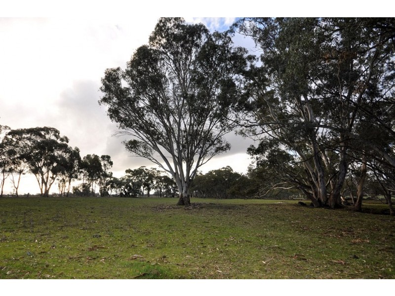 CA 1 Wolfs Lane, Avoca VIC 3467