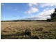 CA16 Tannery Rd, Snake Valley VIC 3351