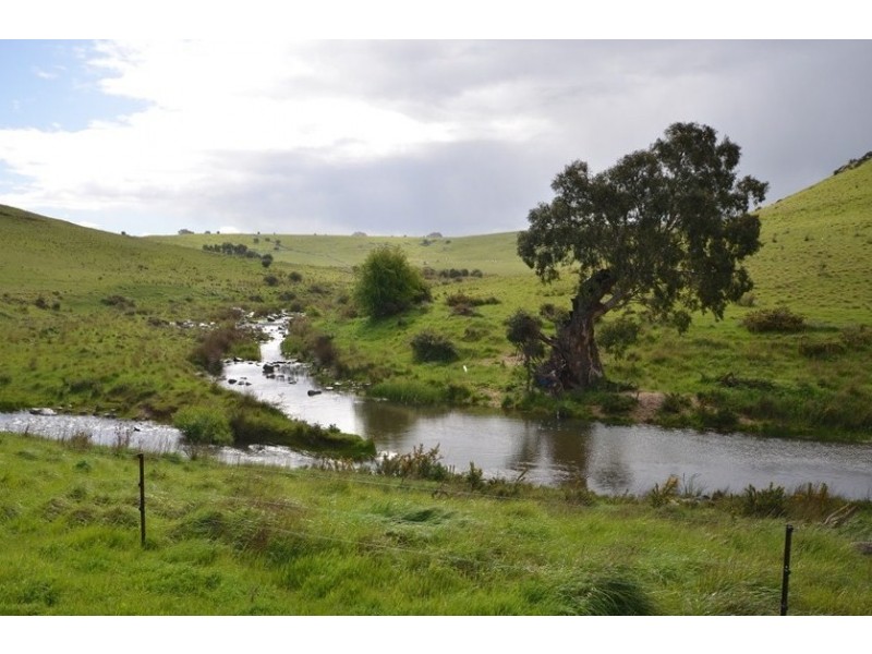 295 Foleys Road, Clunes VIC 3370