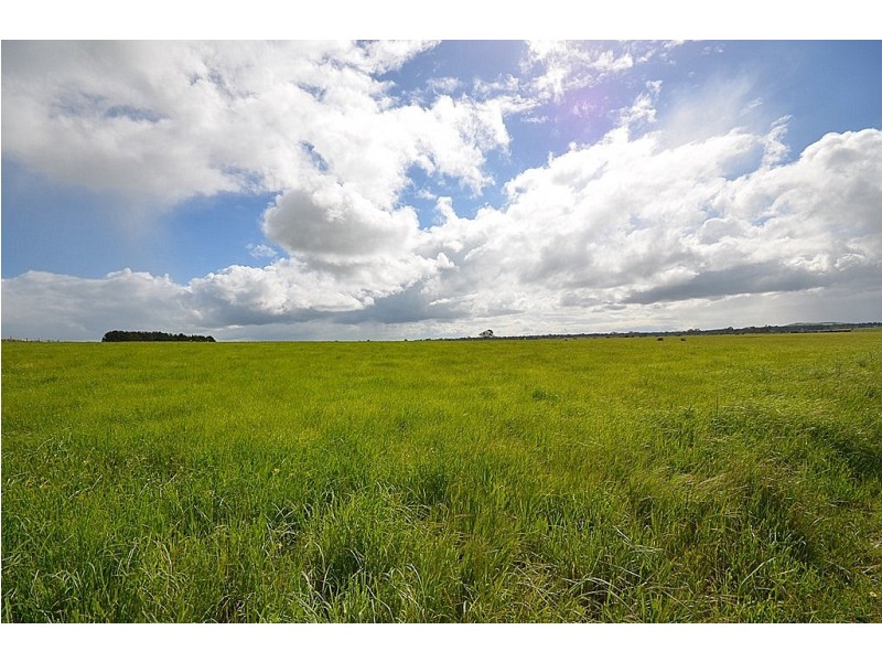 295 Foleys Road, Clunes VIC 3370