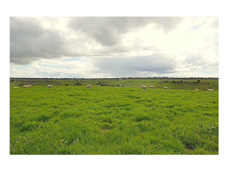 295 Foleys Road, Clunes VIC 3370