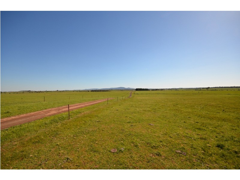 295 Foleys Road, Clunes VIC 3370