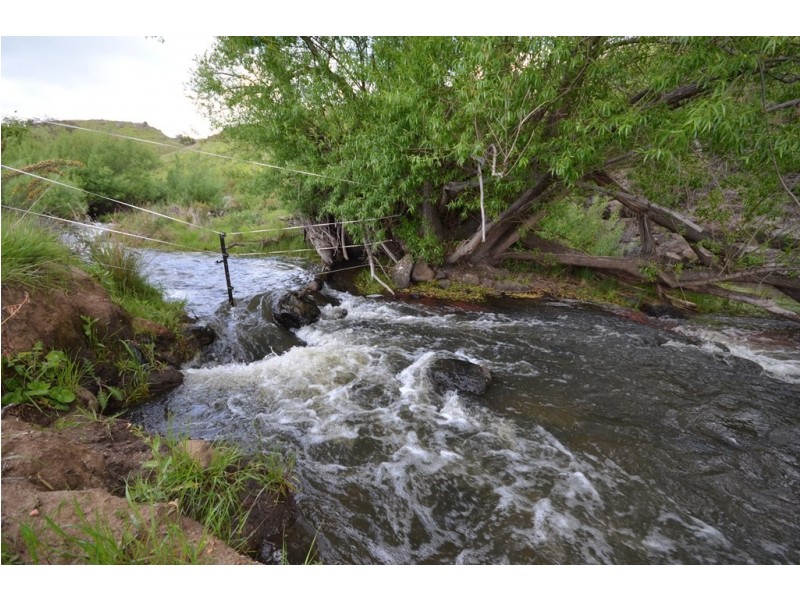 295 Foleys Road, Clunes VIC 3370