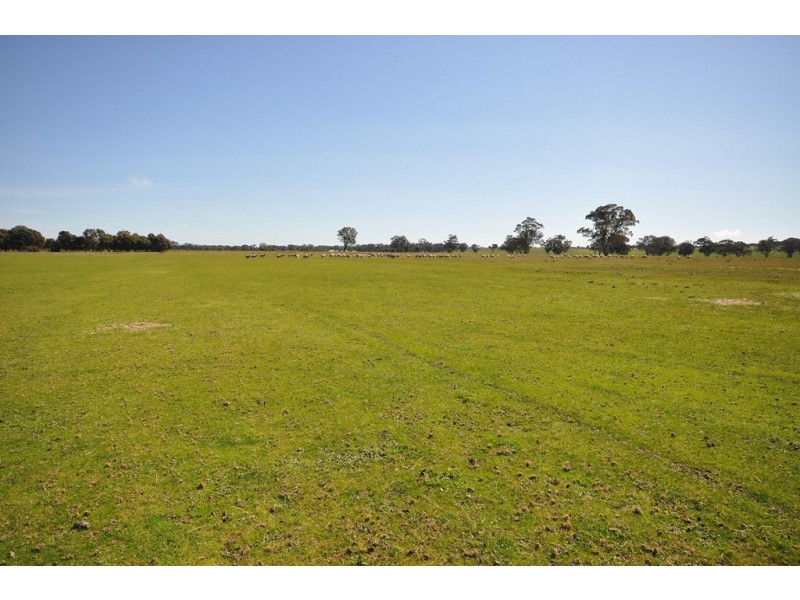 125 Fairview Dve, Clunes VIC 3370