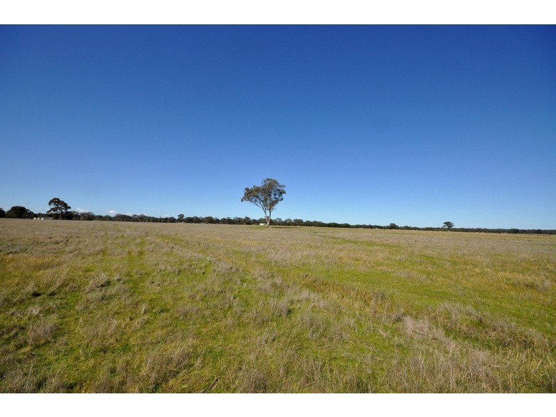 125 Fairview Dve, Clunes VIC 3370