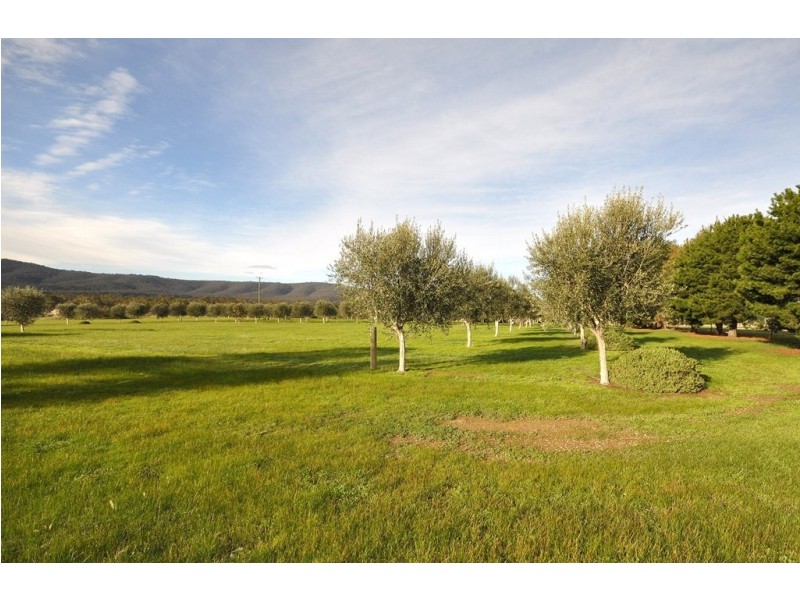 53 Hudswell Road, Landsborough VIC 3384