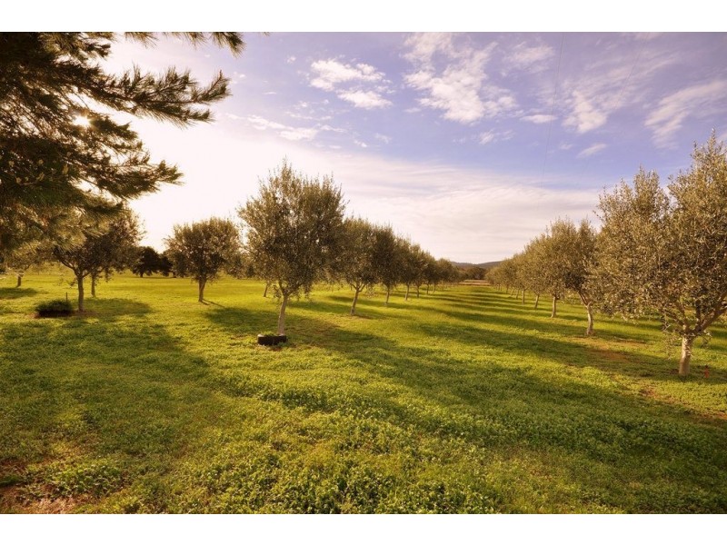 53 Hudswell Road, Landsborough VIC 3384